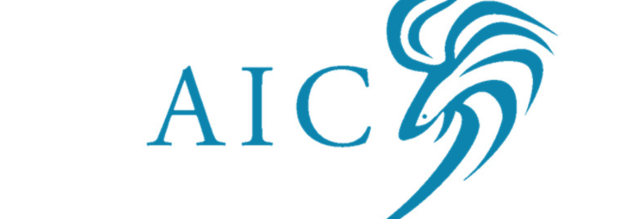 Alternative Investments Club