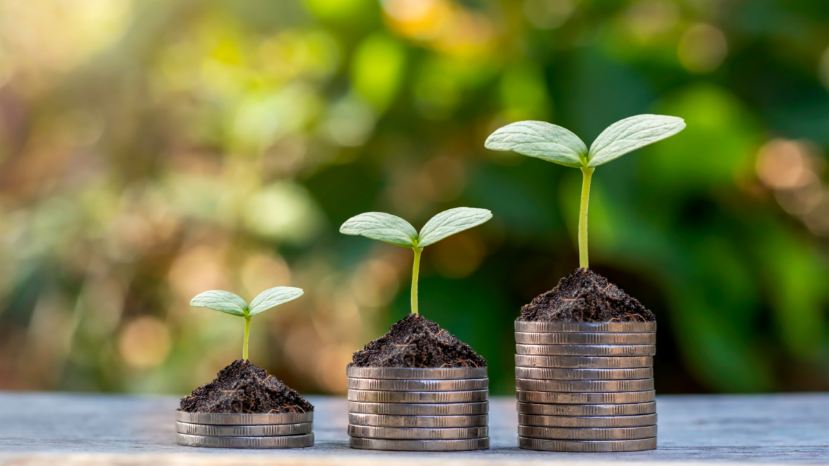 loi de financement de la sécurité sociale